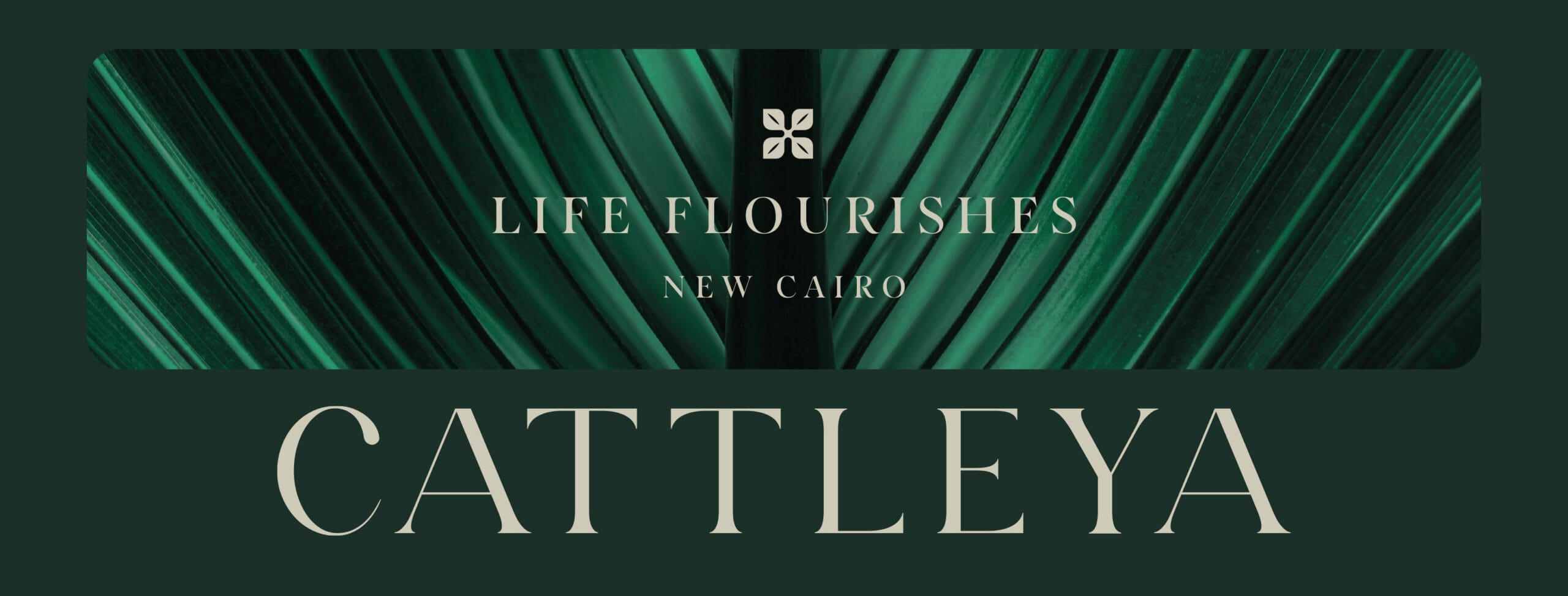 كاتاليا القاهره الجديده CATTALEYA NEW CAIRO scaled