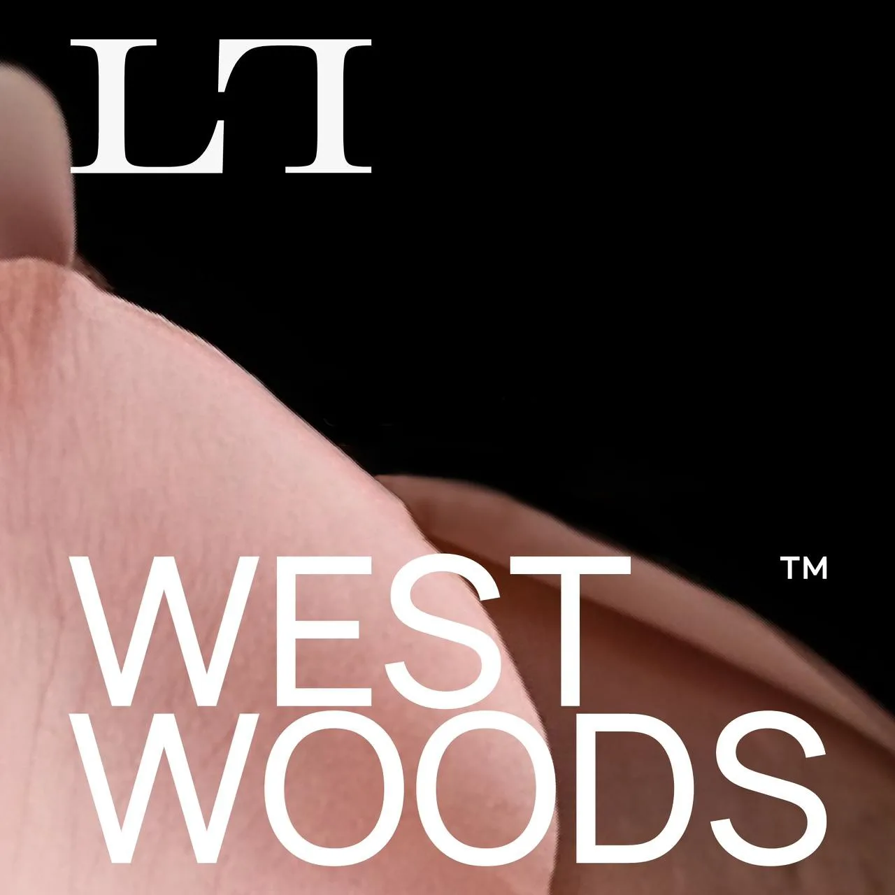 ويست وود اكتوبر  WEST WOOD OCTOBER
