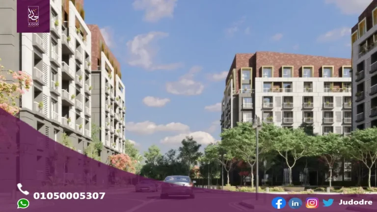 city hall سيتي هول