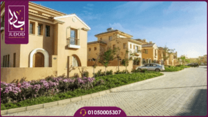 تصميم بدون عنوان 2024 06 30T131010.261