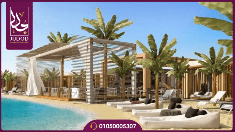 Untitled design 2024 07 22T151855.237