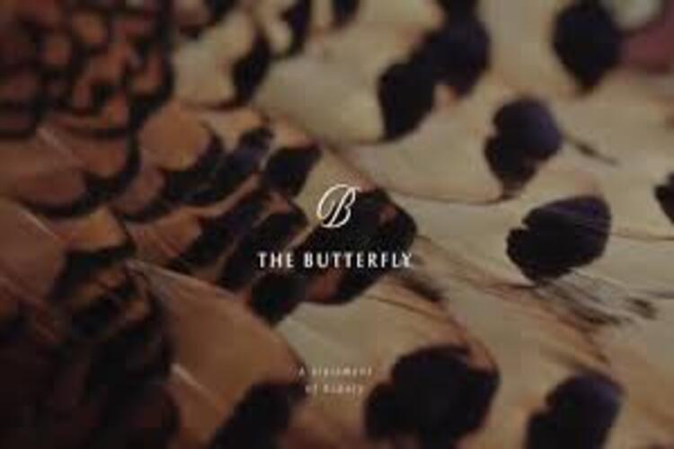 كمبوند ذا بترفلاي المستقبل سيتي