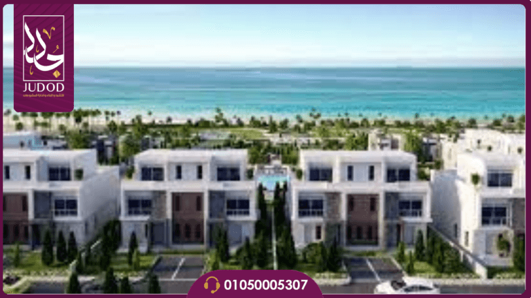 تصميم بدون عنوان 18