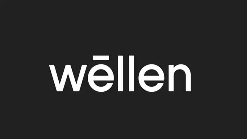 مول ويلين التجمع الخامس Wellen New Cairo تفاصيل واسعار 1 مول ويلين التجمع الخامس