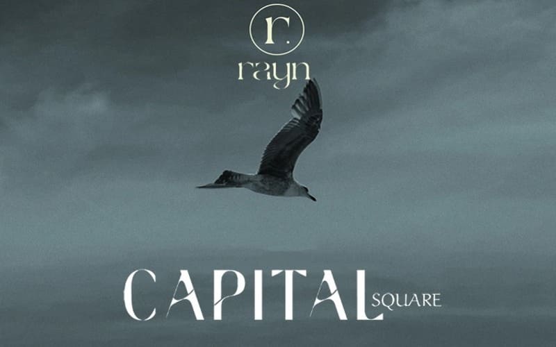 مول كابيتال سكوير العاصمة الإدارية تفاصيل وأسعار Capital Square 2 مول كابيتال سكوير العاصمة الإدارية