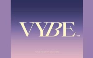 مول فايب التجمع الخامس تفاصيل و اسعار Mall Vybe New Cairo