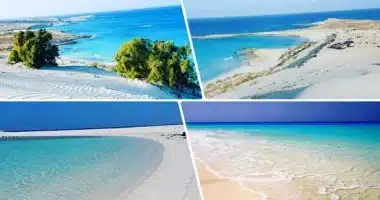 علم الروم الساحل الشمالي