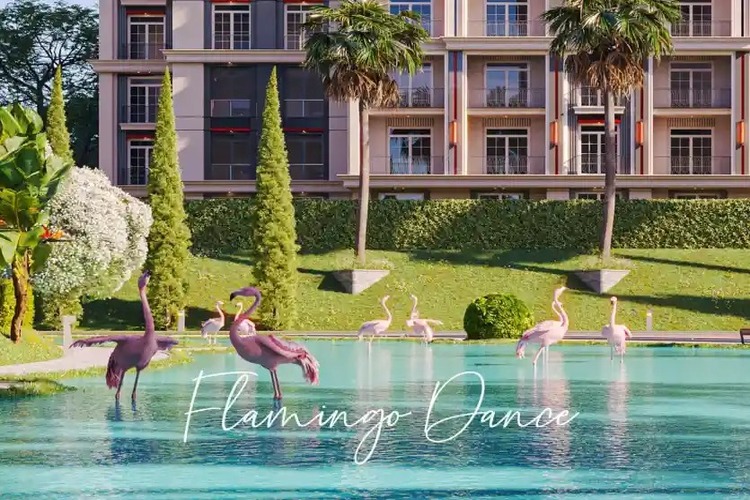 كمبوند ريدي سيتي التجمع الخامس Reedy City أسعار ومساحات 2026 1 كمبوند ريدي سيتي التجمع الخامس