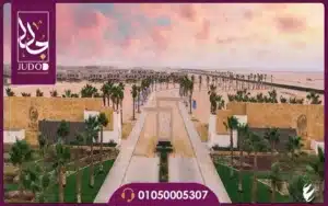 49512301 1187625458062360 5870740824957911040 n